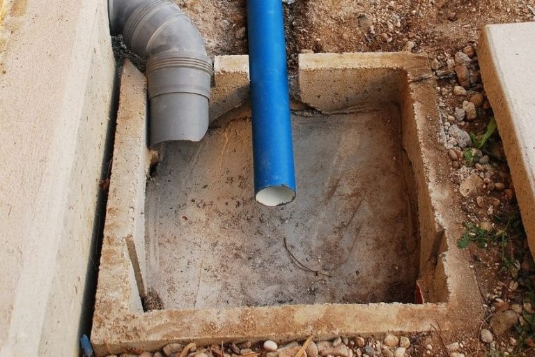 How often should I have my sewer lines inspected